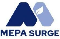 Mepa Surge Sdn. Bhd.